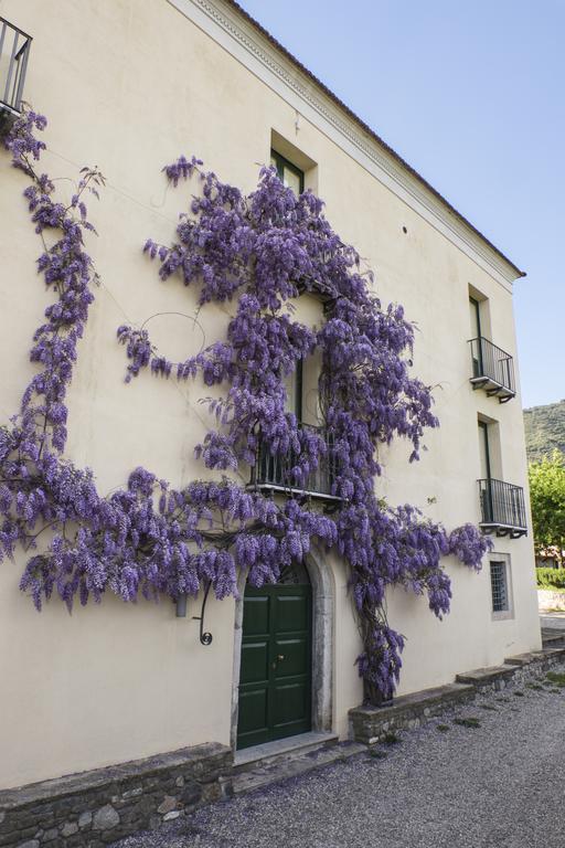 Barone Gr Macri Agriturismo Modi Gerace Exteriör bild